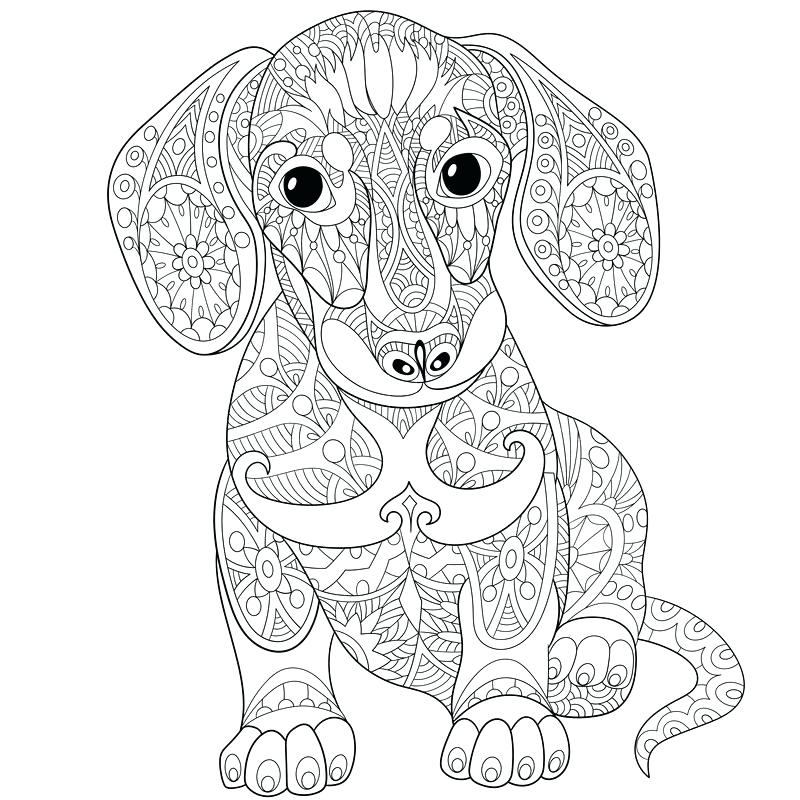 800x800 Awesome Weiner Dog Coloring Pages Dachshund Coloring Pages Adult
