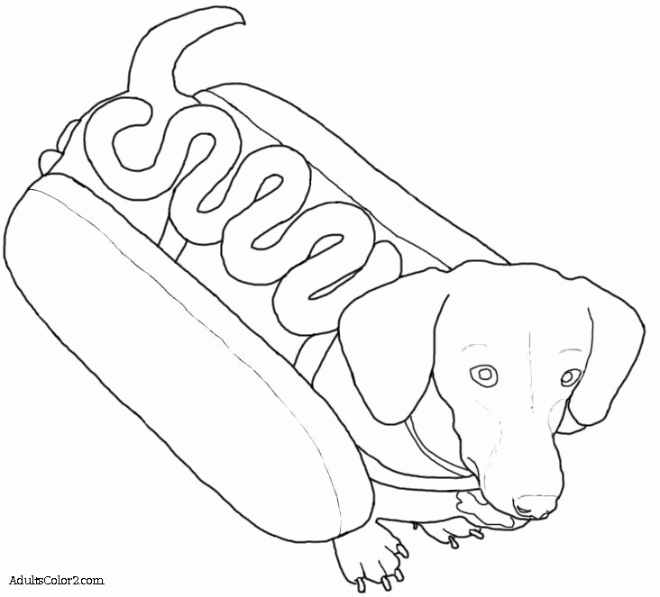 732x663 Coloring Pages Of Ears Lovely Image Result For Weenie Dog Coloring