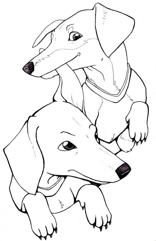 666x1024 Coloring Pages And Coloring Books. Dachshund Coloring Pages