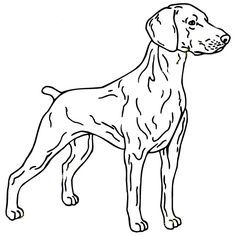 236x236 Realistic Dog Coloring Pages Wallpapers Projects To Try