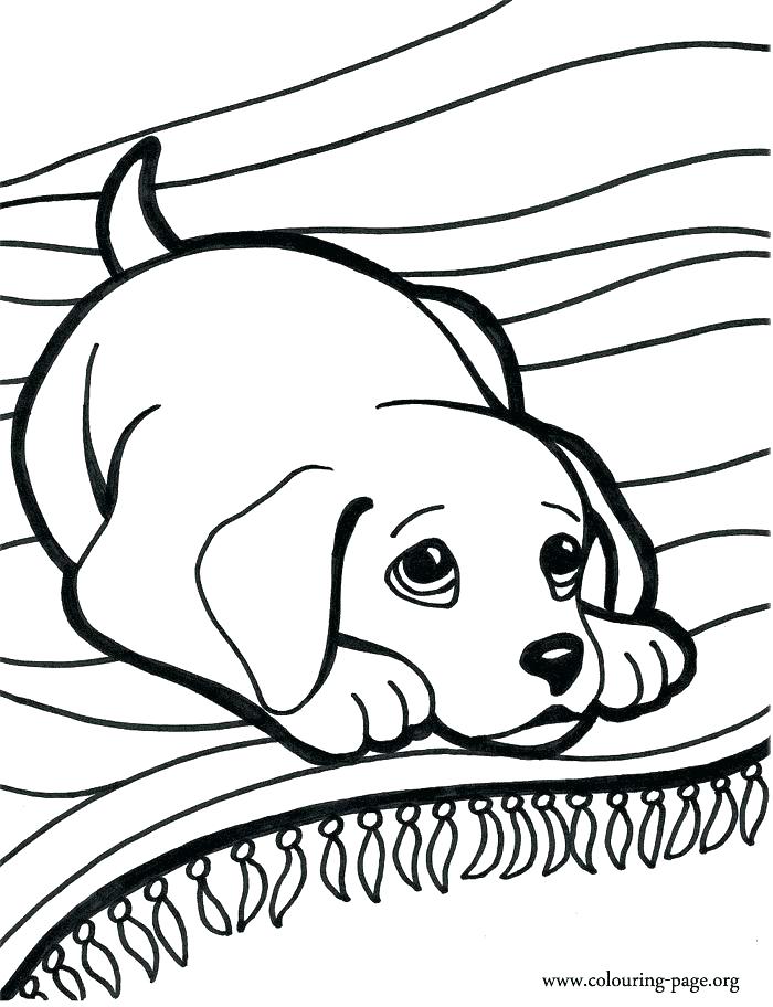 Weiner Dog Coloring Page Coloring Pages