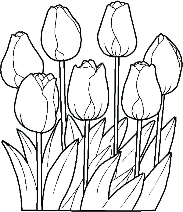 600x693 Spring Coloring Page Kids Drawing Of Springtime Coloring Page