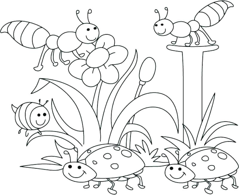 800x654 Spring Coloring Pages Plus Spring Coloring Pages Spring Coloring