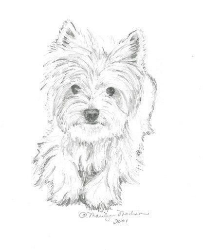 820 Best Cairn Terriers Images On Cairn Terrier, Cairn 419x514 820 Best Cairn Terriers Images On Cairn Terrier, Cairn