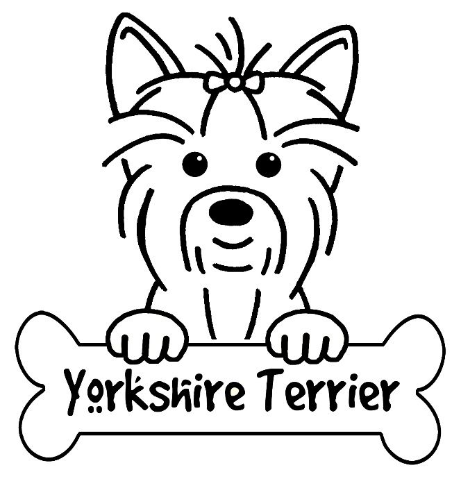Yorkshire Terrier Coloring Pages 664x690 Yorkshire Terrier Coloring Pages