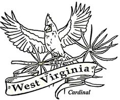 236x197 West Virginia State Tree Coloring Page From West Virginia Category