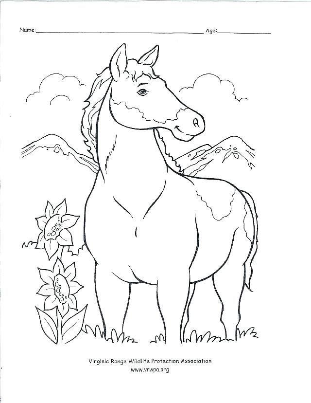 640x828 Western Coloring Pages Transasia
