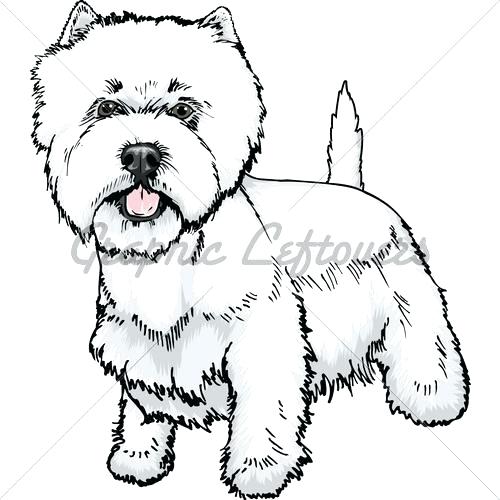 500x500 Westie Coloring Pages Westie Coloring Pages Digital Stamp West