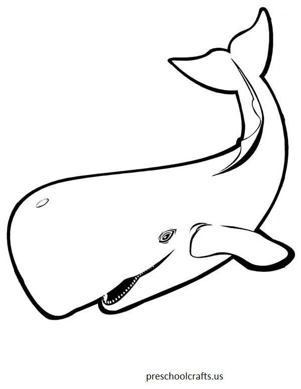 Whale Coloring Pages For Preschool 600x776 Whale Coloring Pages For Preschool