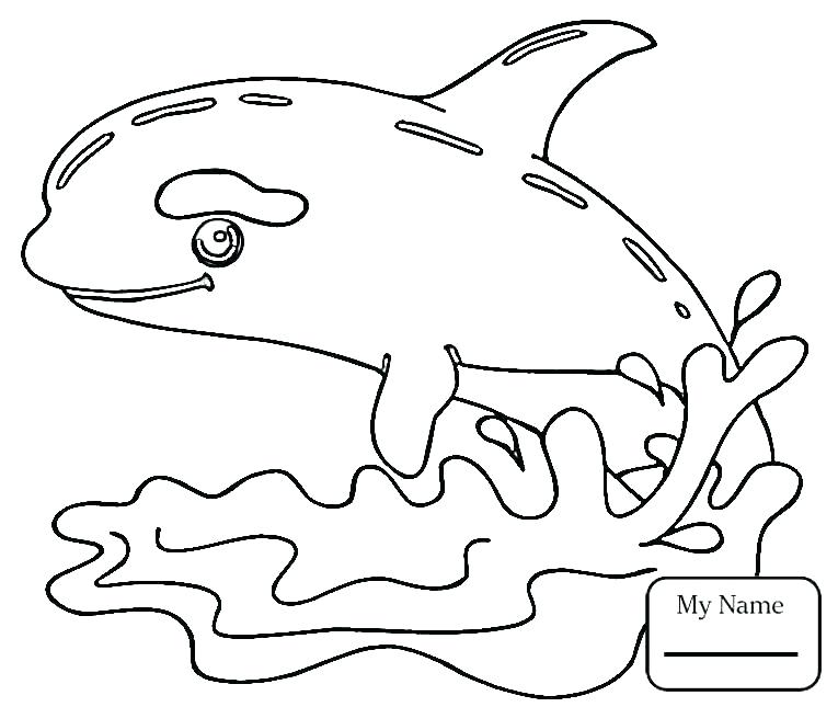 Whale Coloring Page 765x645 Whale Coloring Page
