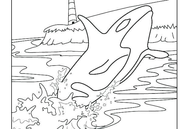 618x425 Whale Coloring Pages Whale Coloring Pages Coloring Humpback Baby