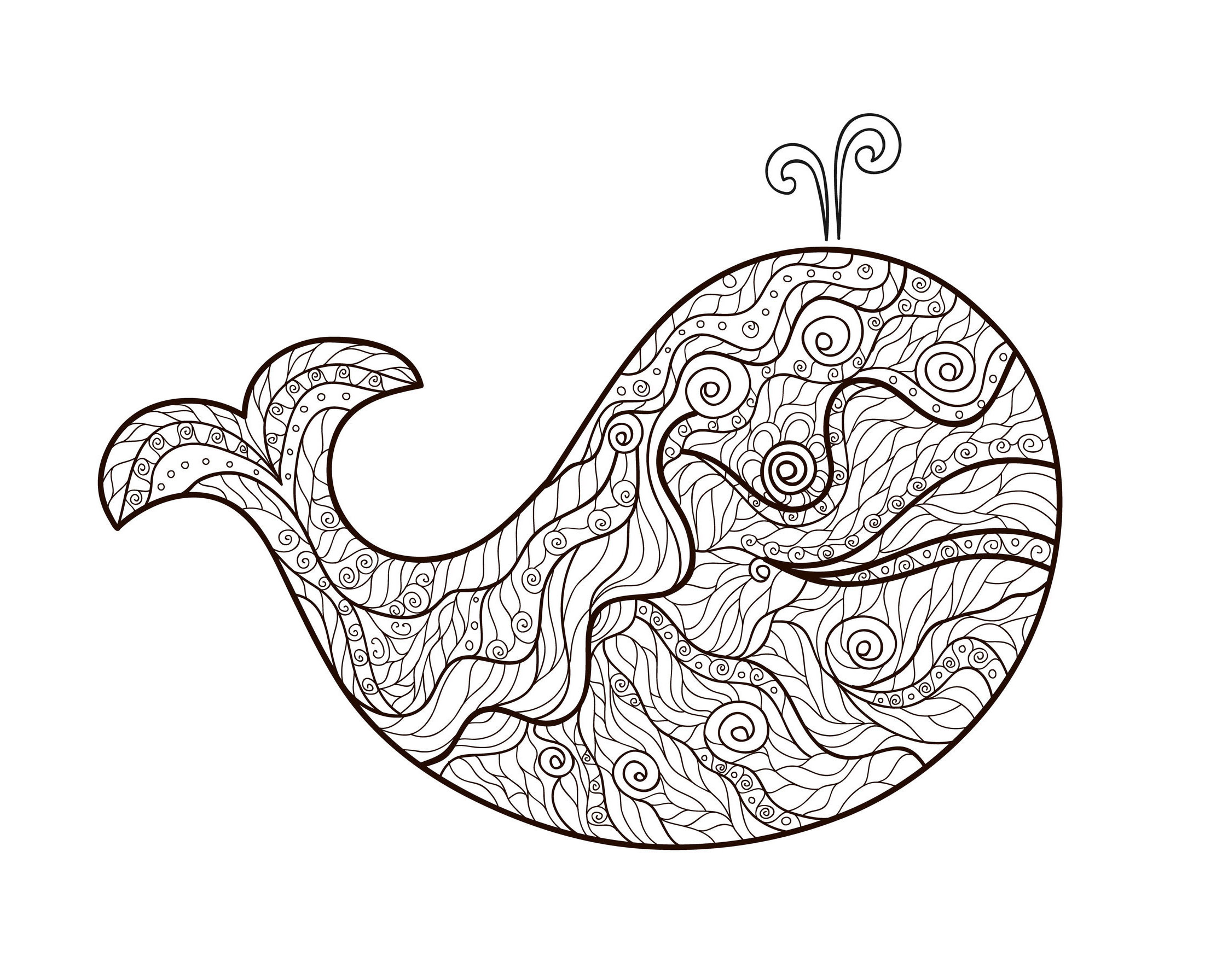 2244x1792 Zentangle Whale By Meggichka