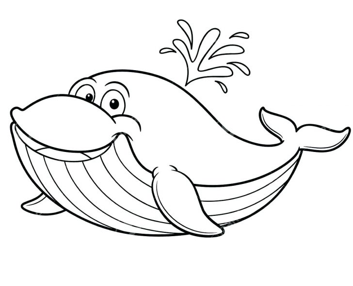 Whale Coloring Pages For Adults at GetColorings.com | Free printable ...