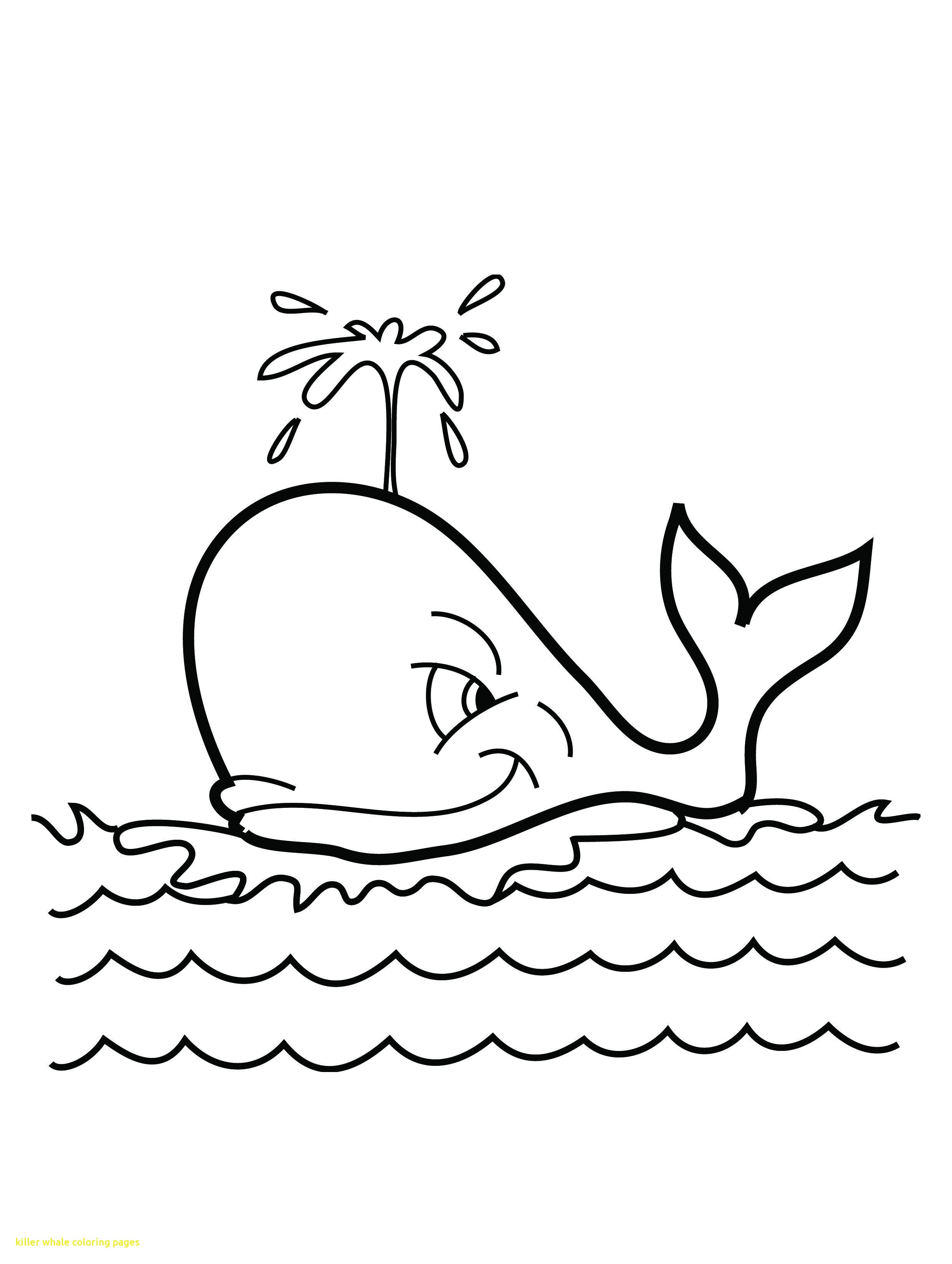 Killer Whale Coloring Pages With Free Printable Whale Coloring 2480x3292 Killer Whale Coloring Pages With Free Printable Whale Coloring