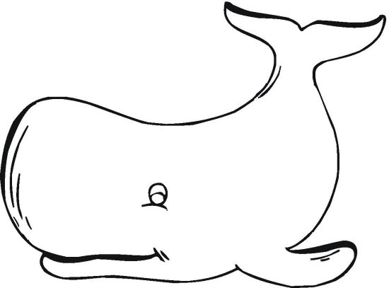 Whale Coloring Pages 550x407 Whale Coloring Pages