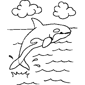 Whale Coloring Pages For Preschool Free Printable 300x300 Whale Coloring Pages For Preschool Free Printable