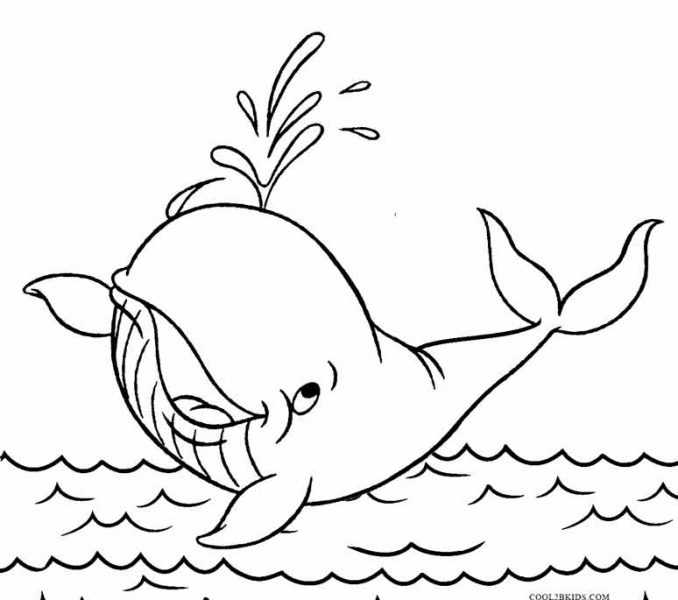 Whale Coloring Pictures Whale Coloring Pages Printable Whale 678x600 Whale Coloring Pictures Whale Coloring Pages Printable Whale