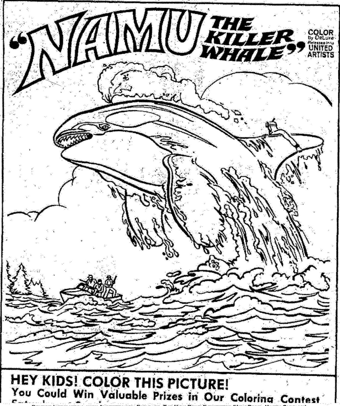 1337x1600 Killer Whale Coloring Pages Printable Image For Orca Plans 14