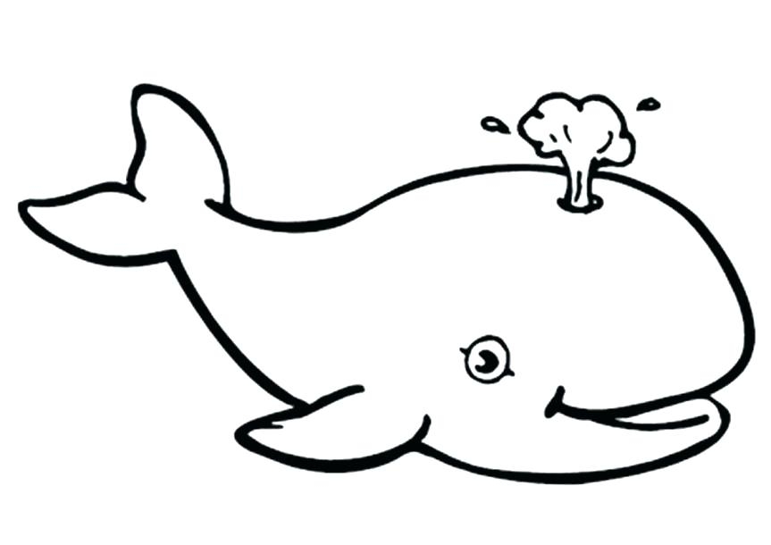 863x610 Baby Whale Coloring Pages Whale Coloring Pictures Whale Coloring