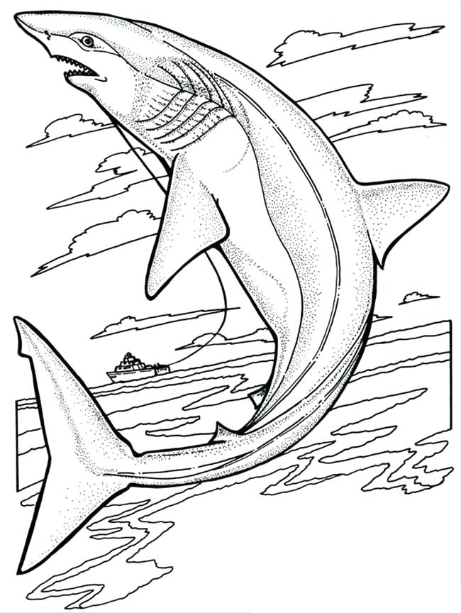 650x864 Shark Coloring Pages Shark Jaws Sketch Coloring Pages Whale Shark