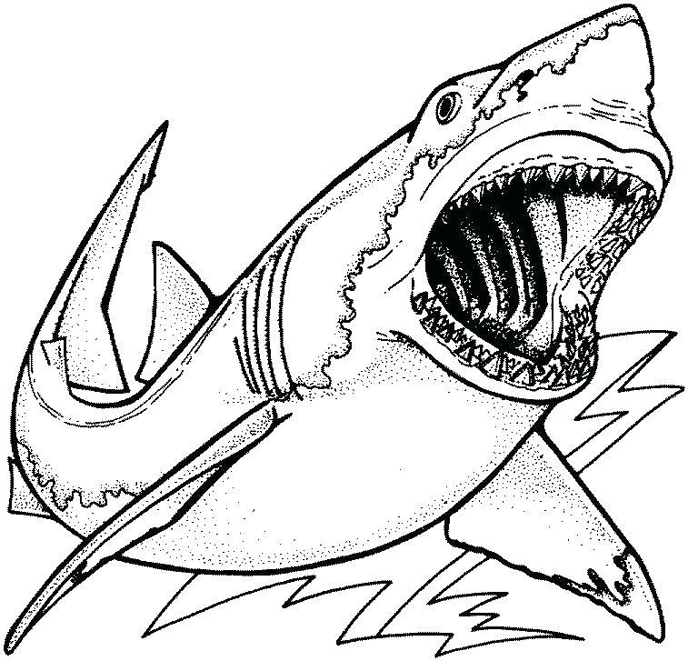 757x727 Whale Shark Coloring Page Shark Color Pages Printable Shark