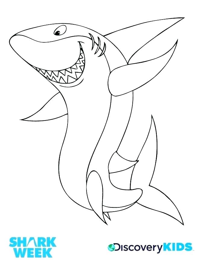 660x885 Whale Shark Coloring Page Whale Shark Coloring Page Coloring Page