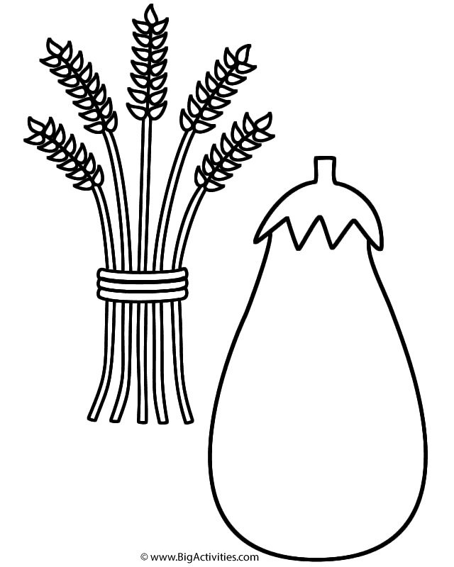 640x800 Squash With Wheat Sheaf