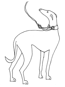 Whippet Clipart 249x334 Whippet Clipart