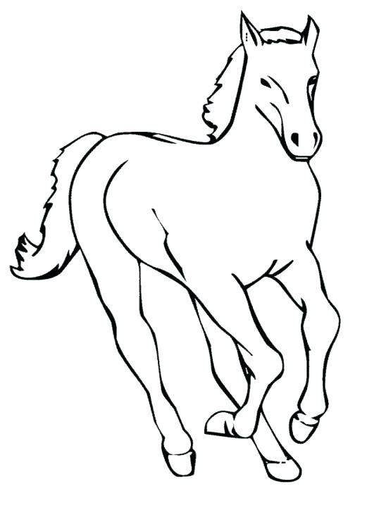 548x731 Mustang Horse Coloring Pages Horse Coloring Pages Free Mustang