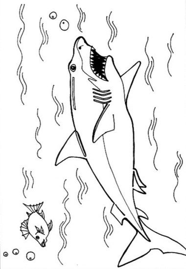 380x549 Great White Shark Coloring Page Amp Coloring Book