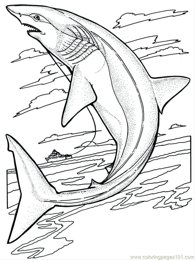 650x864 Great White Shark Coloring Pages Great White Shark Coloring Pages