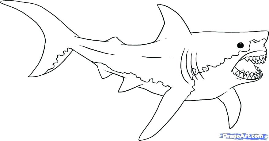 878x462 Shark Coloring Pages And Shark Coloring Pages Printable Whale