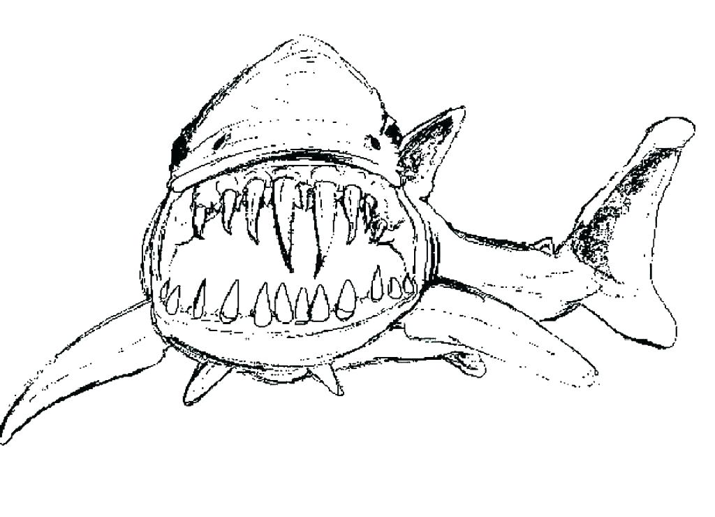 1024x740 Coloring Pages Of Bull Sharks Printable Coloring Great White Shark