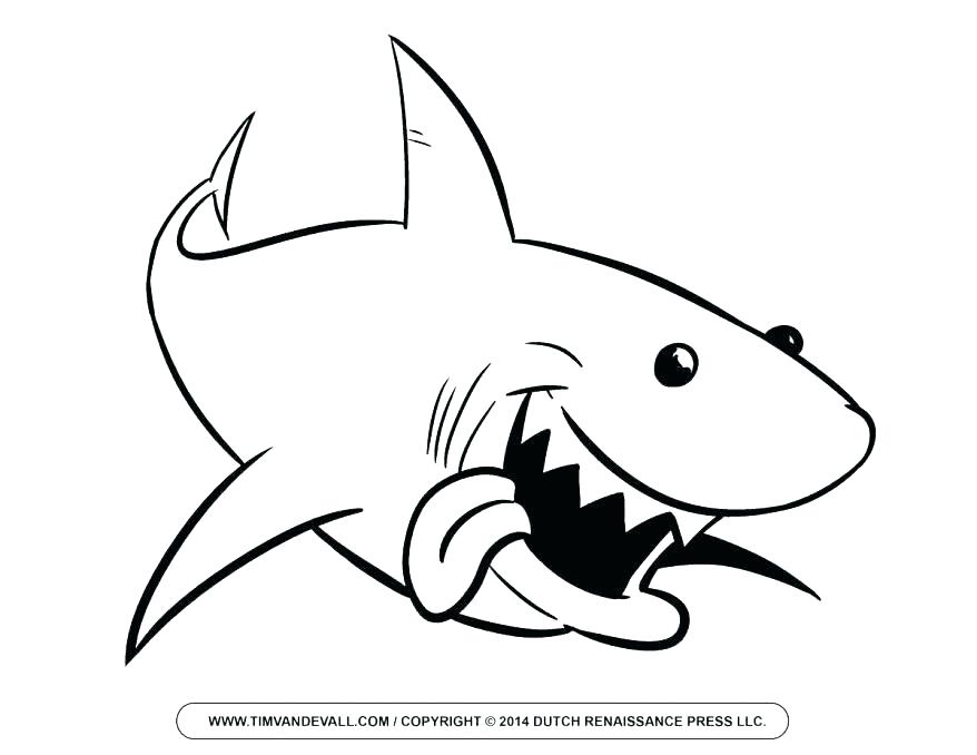 878x678 Tiger Shark Coloring Pages Prev Next Baby Great White Shark Tiger