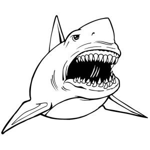 300x300 Shark Coloring Pages