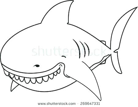 450x351 Free Printable Great White Shark Coloring Pages Kids Coloring