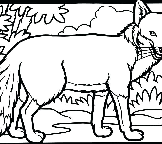 Pin By I I On Color Activities Red Sox Coloring Pages To Print Red 678x600 Pin By I I On Color Activities Red Sox Coloring Pages To Print Red