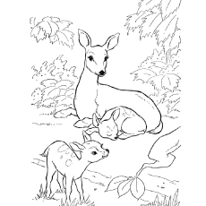 230x230 Top 20 Deer Coloring Pages For Your Little Ones