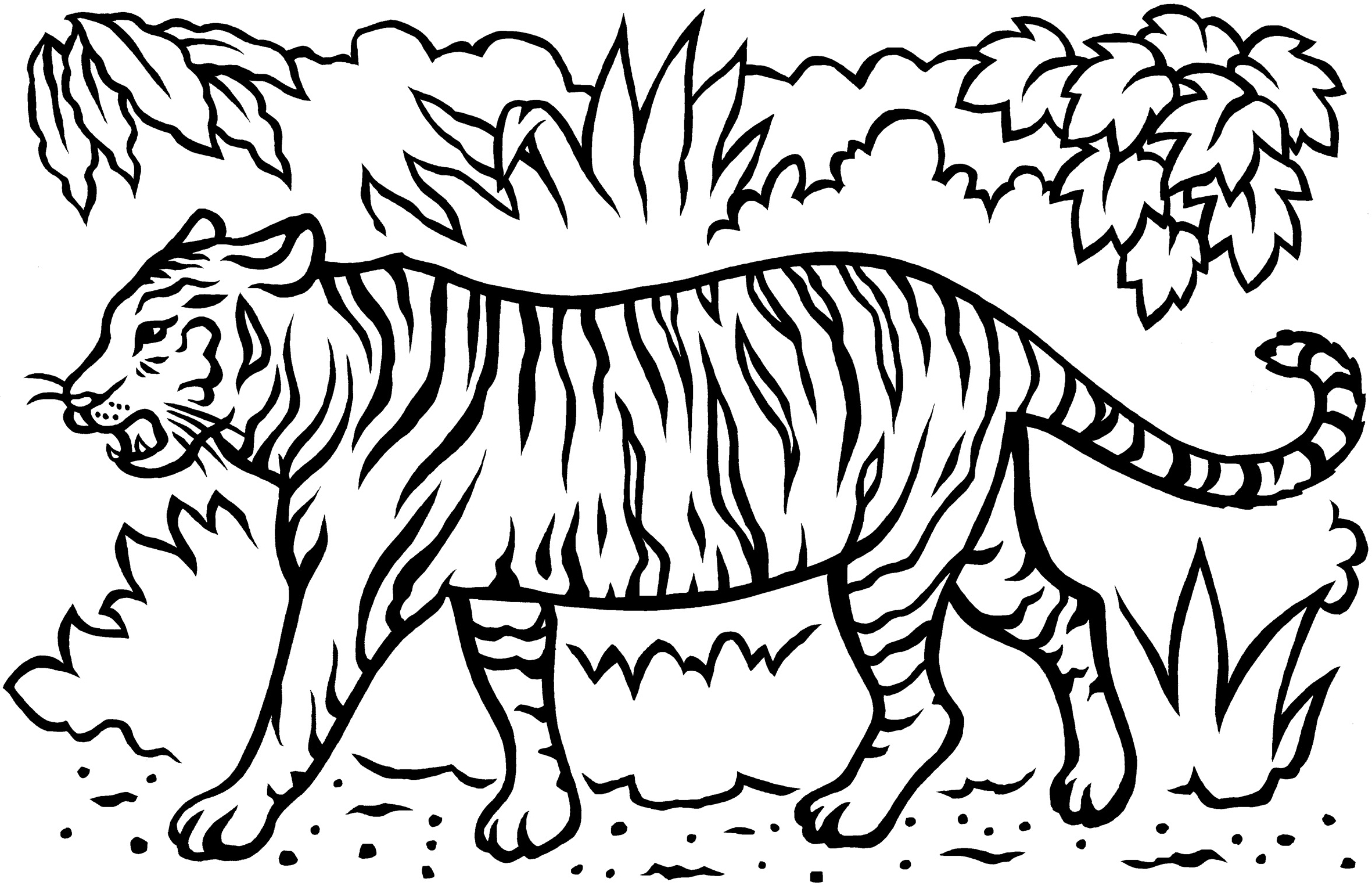 Tiger Coloring Template
