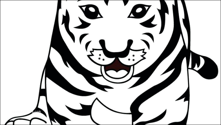 750x425 Best Baby White Tiger Coloring Pages For Your Wall Lovebird