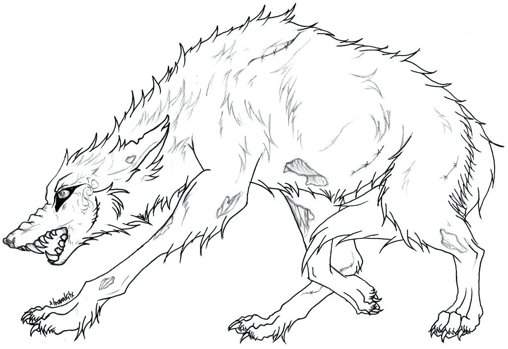1024x704 Realistic Adult Wolf Coloring Pages Free Printable Amazing Wolf