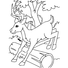 230x230 Top 20 Deer Coloring Pages For Your Little Ones