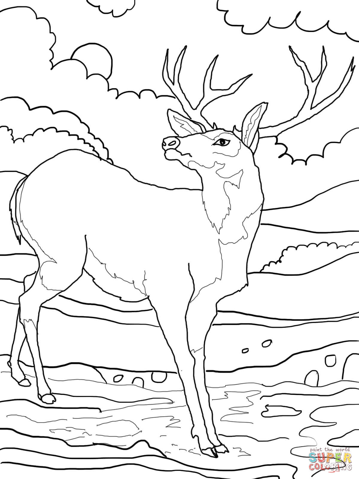 1200x1600 Printable Deer Coloring Pages For Kids Of Christmas Page Animal