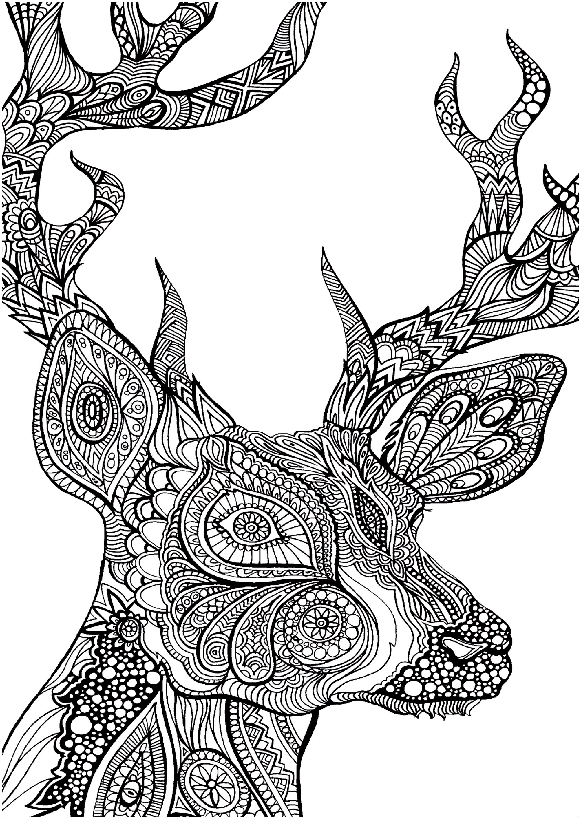 2006x2828 Whitetail Deer Coloring Epic Deer Head Coloring Pages
