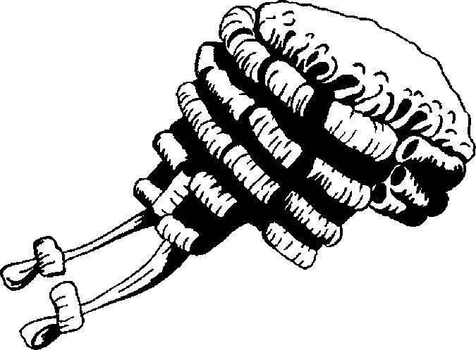 Judicial Wig Coloring Page 675x497 Judicial Wig Coloring Page