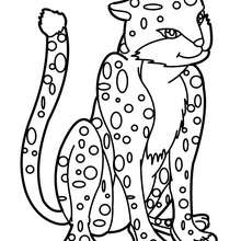 Wild Animal Coloring Pages 220x220 Wild Animal Coloring Pages