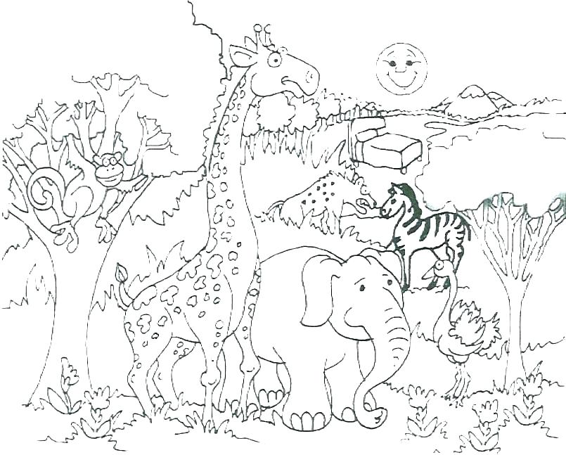 Wild Animal Coloring Pages Animal Coloring Pages Wild Animal 805x647 Wild Animal Coloring Pages Animal Coloring Pages Wild Animal
