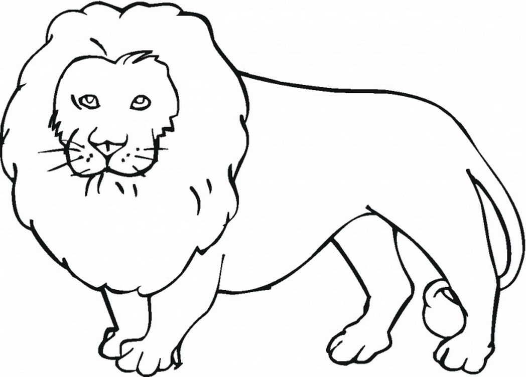 Jungle Animals Coloring Pages With Wallpapers 1080p Jungle Animals 1048x752 Jungle Animals Coloring Pages With Wallpapers 1080p Jungle Animals