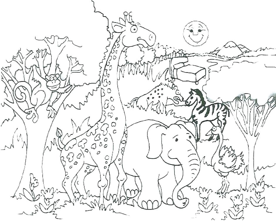 Wild Animal Coloring Pages For Adults 940x755 Wild Animal Coloring Pages For Adults