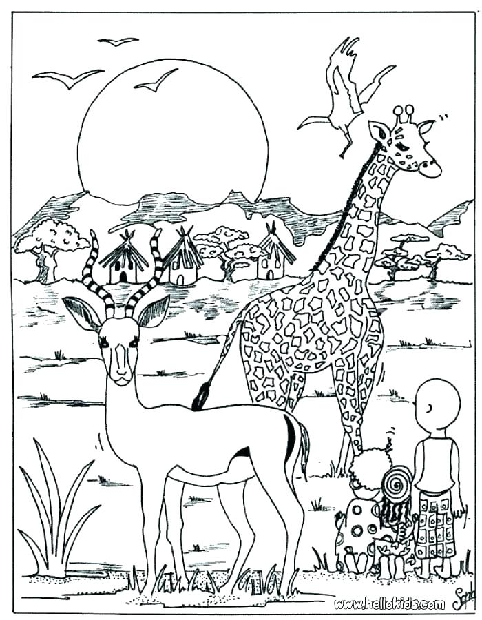 Wild Animal Coloring Pages Icontent 700x900 Wild Animal Coloring Pages Icontent
